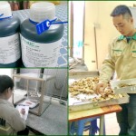 Phân tích chỉ tiêu chất lượng hàng hóa - Giám Định ProQc Việt Nam - Công Ty TNHH Giám Định ProQc Việt Nam